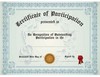 Generic Music Participation Certificate